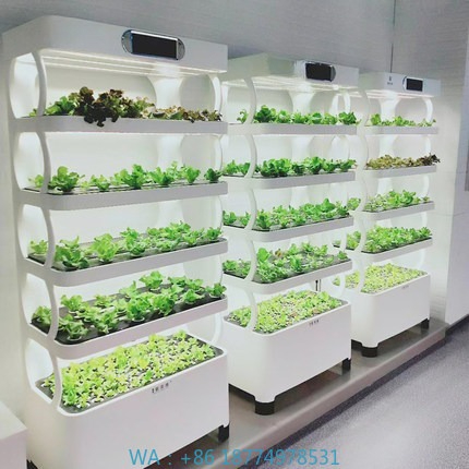 Home Automation Systems Diy - Hydroponisches automatisches Wachstumssystem, intelligentes hydroponisches Wachstumssystem,